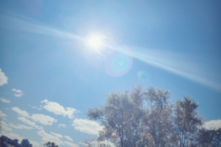 Screenshot 2023 07 28 at 14.58.10 768x511