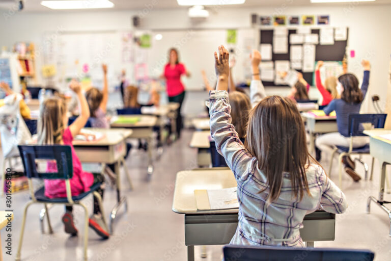 education-and-school-concept-little-student-girl-studying-at-school-stockpack-adobe-stock education-and-school-concept-little-student-girl-studying-at-school-stockpack-adobe-stock