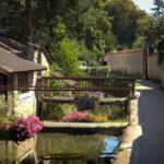 French Immersion at Teacher's Home