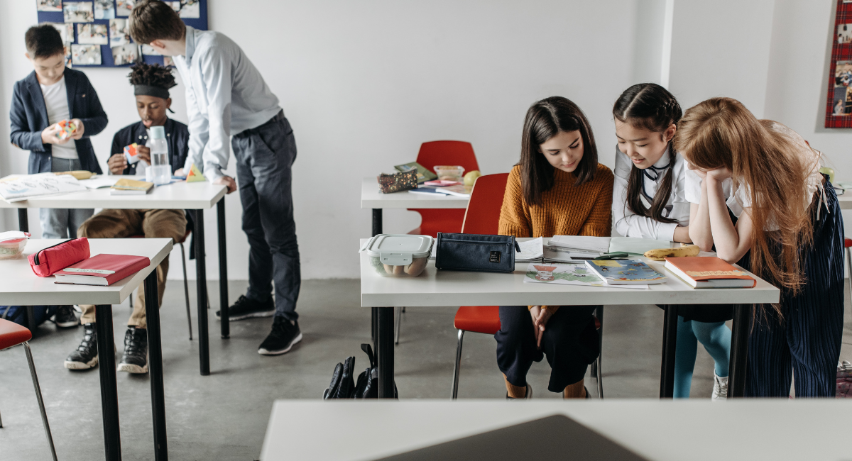 Dimension photo Wp 8