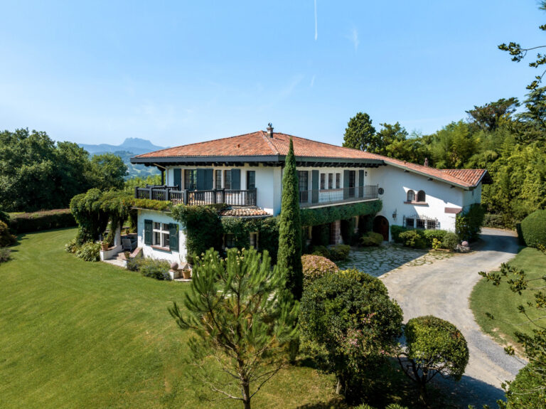 DJI 0410 768x575